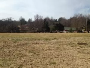 924 Ridgeview St, Harrison, AR 72601 photo 5