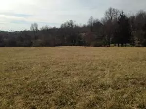 924 Ridgeview St, Harrison, AR 72601 photo 3
