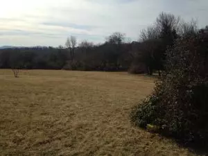 924 Ridgeview St, Harrison, AR 72601 photo 4