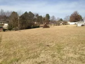 924 Ridgeview St, Harrison, AR 72601 photo 6