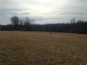 924 Ridgeview St, Harrison, AR 72601 photo 1