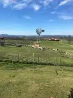 1238 Chinquapin Rd, Everton, AR 72633 photo 65