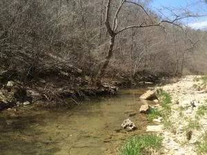 1238 Chinquapin Rd, Everton, AR 72633 photo 85