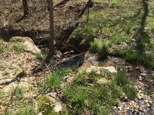 1238 Chinquapin Rd, Everton, AR 72633 photo 80