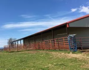 1238 Chinquapin Rd, Everton, AR 72633 photo 59