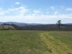 1238 Chinquapin Rd, Everton, AR 72633 photo 17