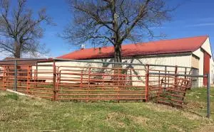 1238 Chinquapin Rd, Everton, AR 72633 photo 47