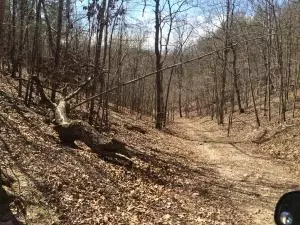1238 Chinquapin Rd, Everton, AR 72633 photo 70
