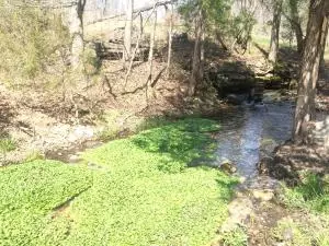 1238 Chinquapin Rd, Everton, AR 72633 photo 77