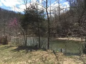 1238 Chinquapin Rd, Everton, AR 72633 photo 6