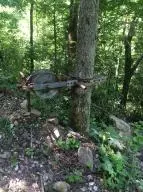 1238 Chinquapin Rd, Everton, AR 72633 photo 83