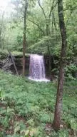 1238 Chinquapin Rd, Everton, AR 72633 photo 96