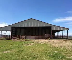 1238 Chinquapin Rd, Everton, AR 72633 photo 4