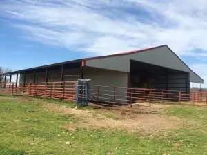1238 Chinquapin Rd, Everton, AR 72633 photo 16