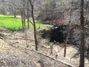 1238 Chinquapin Rd, Everton, AR 72633 photo 73