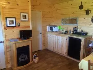 1238 Chinquapin Rd, Everton, AR 72633 photo 50