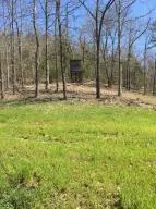 1238 Chinquapin Rd, Everton, AR 72633 photo 63