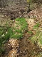 1238 Chinquapin Rd, Everton, AR 72633 photo 67