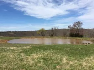 1238 Chinquapin Rd, Everton, AR 72633 photo 15