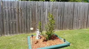 405 Skyline Dr, Harrison, AR 72601 photo 23