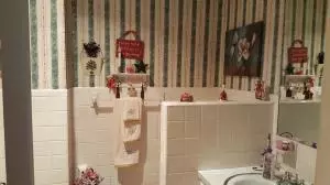 405 Skyline Dr, Harrison, AR 72601 photo 10