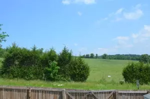 1925 Highgrove, Harrison, AR 72601 photo 31