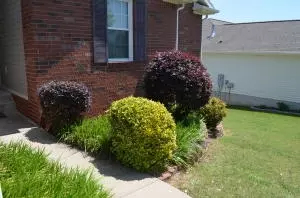 1925 Highgrove, Harrison, AR 72601 photo 2