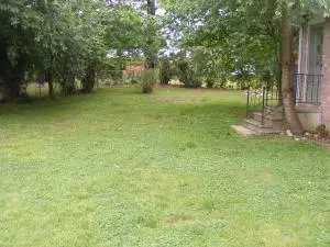 260 Cooper, Harrison, AR 72601 photo 6
