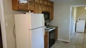 108 Cardinal, Harrison, AR 72601 photo 5
