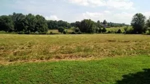 2204 Sugar Maple Ln, Harrison, AR 72601 photo 19