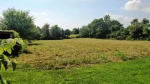2204 Sugar Maple Ln, Harrison, AR 72601 photo 18