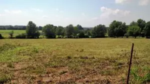 2204 Sugar Maple Ln, Harrison, AR 72601 photo 16