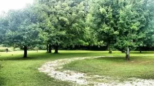 2204 Sugar Maple Ln, Harrison, AR 72601 photo 10