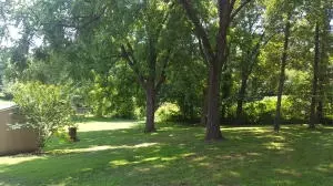 8166 Cedar Ln, Harrison, AR 72601 photo 14