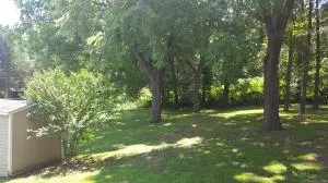 8166 Cedar Ln, Harrison, AR 72601 photo 15