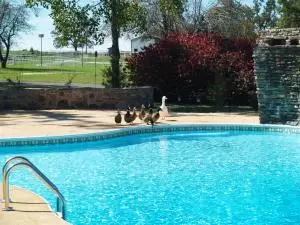 7681 Hwy 65 N, Harrison, AR 72601 photo 26