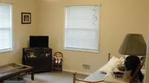 11 Hawthorne Dr, Harrison, AR 72601 photo 18