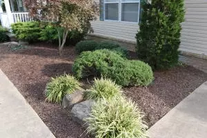 13 Hawkeye Ln, Bergman, AR 72615 photo 4