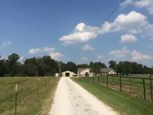6768 Lynx Ln, Harrison, AR 72601 photo 2