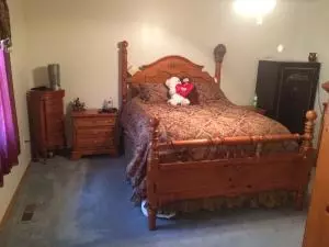 6768 Lynx Ln, Harrison, AR 72601 photo 18