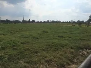 6768 Lynx Ln, Harrison, AR 72601 photo 35