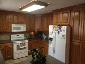 6768 Lynx Ln, Harrison, AR 72601 photo 8