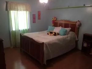 6768 Lynx Ln, Harrison, AR 72601 photo 17