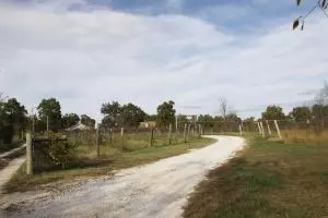 1818 Triple Ln, Harrison, AR 72601 photo 8