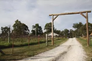 1818 Triple Ln, Harrison, AR 72601 photo 7