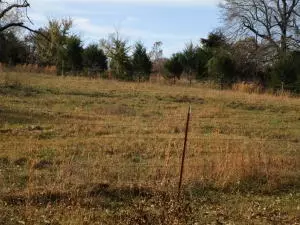 4311 Meadows Ct, Harrison, AR 72601 photo 20