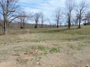 7366 N Harmon Rd, Harrison, AR 72601 photo 30