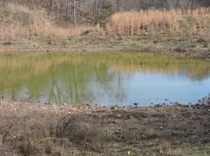 7366 N Harmon Rd, Harrison, AR 72601 photo 35