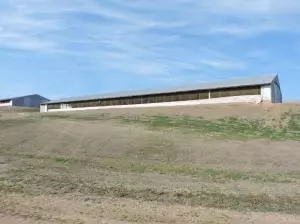 7366 N Harmon Rd, Harrison, AR 72601 photo 39