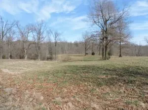 7366 N Harmon Rd, Harrison, AR 72601 photo 4